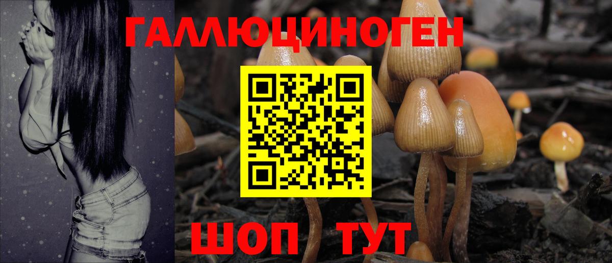 дарнет шоп  Галлюциногенные грибы MAGIC MUSHROOMS  Галлюциногенные грибы Psilocybine cubensis  Вход с VPN  Алапаевск 