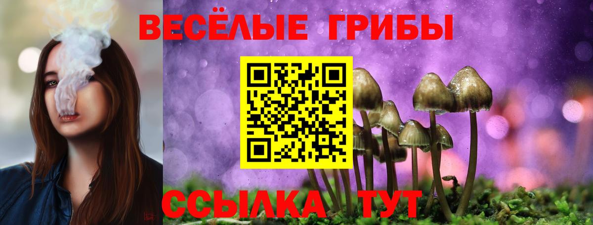 Псилоцибиновые грибы ЛСД Алапаевск